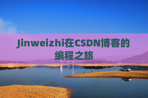 Jinweizhi在CSDN博客的编程之旅